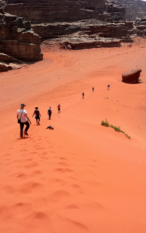 Dune Climb by Callie Joseph | Digital photograph on fine art paper
Glossy or lustre print -- print only (no mounting or matting) Dune Climb